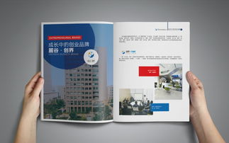 长沙高新区 创新驱动与产业汇聚的招商图鉴